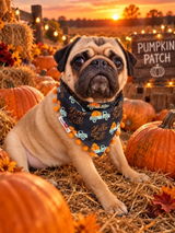 Hello Fall bandana