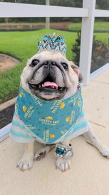 Cheese Tax Collector bandana