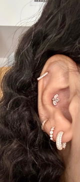 Milei review photo