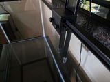 Dianne L. review photo