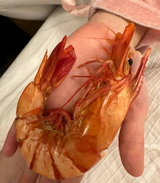 Ada Goh review photo