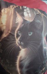 Whimsical Cat Halloween Graphic Tee