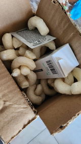Iris L. review photo