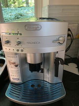Sharon S. review photo
