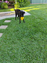 Nadia review photo