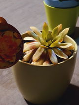 Dobrican Cristina Elena review photo