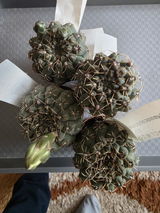 Csaba Mathe review photo