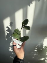 Aleksandra Salii review photo