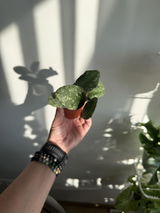 Aleksandra Salii review photo