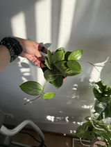 Aleksandra Salii review photo