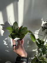 Aleksandra Salii review photo