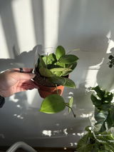 Aleksandra Salii review photo