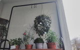 Zuzana review photo