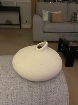 A h.c. review photo