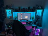 Colt review photo