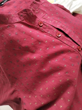 Raj review photo