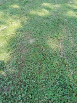 Randy Martin review photo