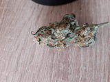 Marcel P. review photo