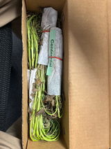 Terry S review photo