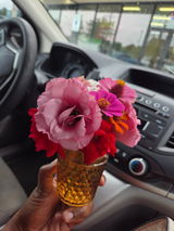 Texas Gardener review photo