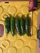 Ohio garden guy review photo