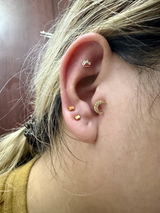 Fattaylor S. review photo