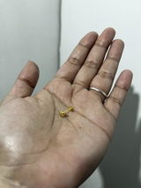 AS review photo