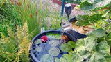 Volker Leitz review photo