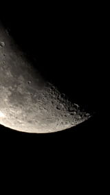Erwin van Bronkhorst review photo