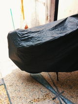 Rana Rashid review photo
