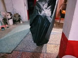 Rana Rashid review photo