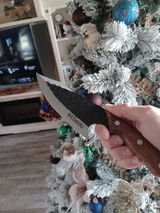 Travis Beard review photo