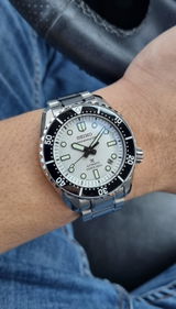 Simple watch collector review photo