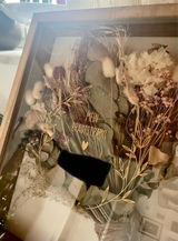 Modesta review photo