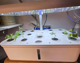 UrbanLeaf review photo