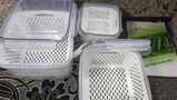 Stacy P. review photo