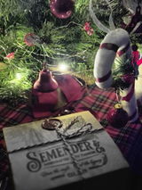 Sinem A. review photo