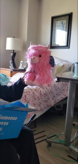 User picture