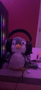 User picture