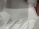 Bill review photo