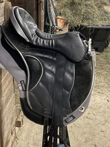 Collaeyn Hazen review photo