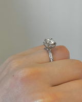 Lily review photo