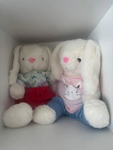 Carole B. review photo