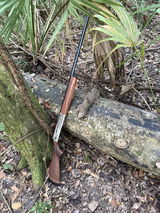 Stephen Engolio review photo