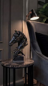 Manan Jain review photo