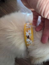 Etsy c. review photo