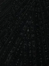 a***r review photo