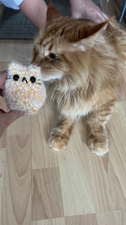 MADE TO ORDER | cute Kittys , Katzen - Crocheted Cuties