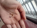 Harshitha review photo