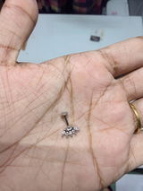 Vidhya Krishna review photo